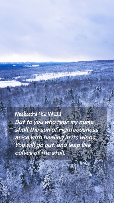Picture 02 - Malachi 4:2 WEB Mobile Phone Wallpaper - But to you who fear my name shall the sun of - Mobile Bible Verse Wallpaper