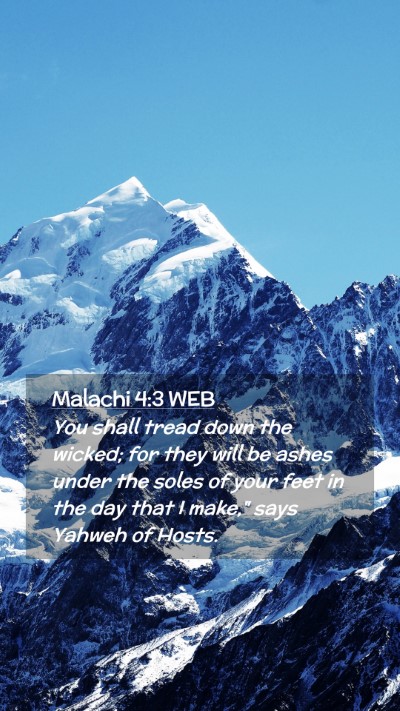 Picture 02 - Malachi 4:3 WEB Mobile Phone Wallpaper - You shall tread down the wicked; for they will be - Mobile Bible Verse Wallpaper