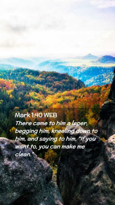 Picture 02 - Mark 1:40 WEB Mobile Phone Wallpaper - There came to him a leper, begging him, kneeling - Mobile Bible Verse Wallpaper
