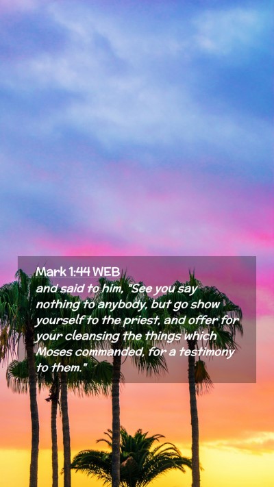 Picture 02 - Mark 1:44 WEB Mobile Phone Wallpaper - and said to him, 