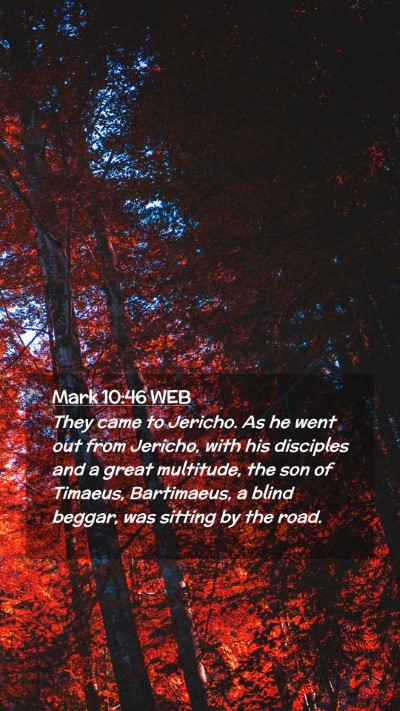 Picture 02 - Mark 10:46 WEB Mobile Phone Wallpaper - They came to Jericho. As he went out from - Mobile Bible Verse Wallpaper
