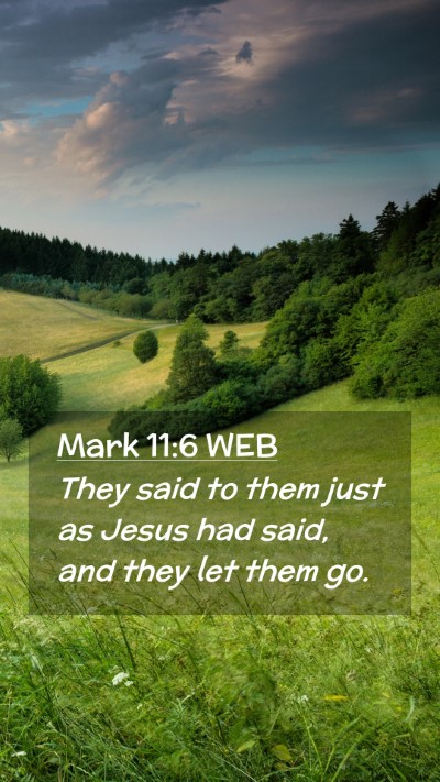 Picture 02 - Mark 11:6 WEB Mobile Phone Wallpaper - They said to them just as Jesus had said, and - Mobile Bible Verse Wallpaper
