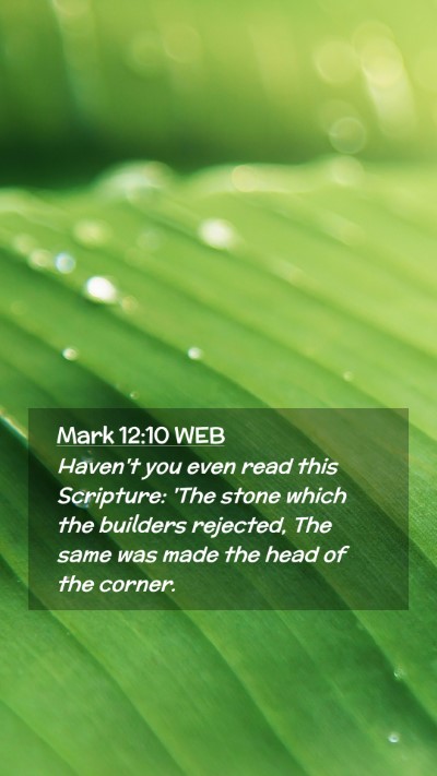 Picture 02 - Mark 12:10 WEB Mobile Phone Wallpaper - Haven't you even read this Scripture: 'The stone - Mobile Bible Verse Wallpaper