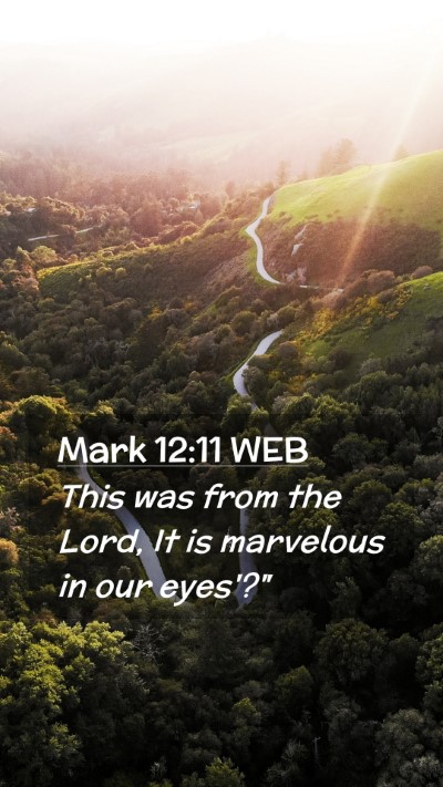 Picture 02 - Mark 12:11 WEB Mobile Phone Wallpaper - This was from the Lord, It is marvelous in our - Mobile Bible Verse Wallpaper