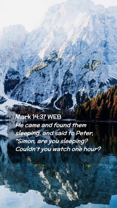 Picture 02 - Mark 14:37 WEB Mobile Phone Wallpaper - He came and found them sleeping, and said to - Mobile Bible Verse Wallpaper
