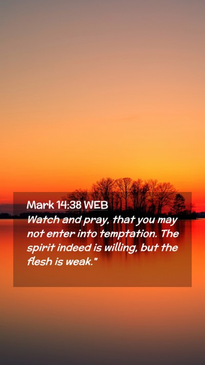 Picture 02 - Mark 14:38 WEB Mobile Phone Wallpaper - Watch and pray, that you may not enter into - Mobile Bible Verse Wallpaper