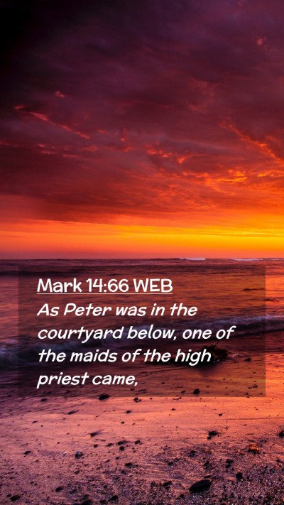 Picture 02 - Mark 14:66 WEB Mobile Phone Wallpaper - As Peter was in the courtyard below, one of the - Mobile Bible Verse Wallpaper