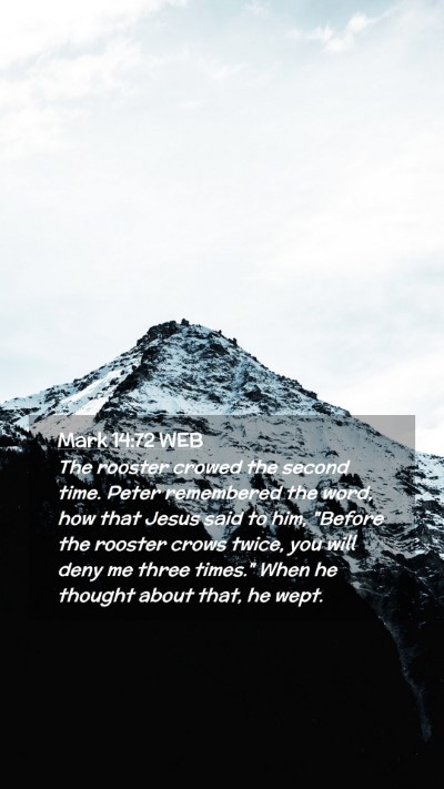 Picture 02 - Mark 14:72 WEB Mobile Phone Wallpaper - The rooster crowed the second time. Peter - Mobile Bible Verse Wallpaper