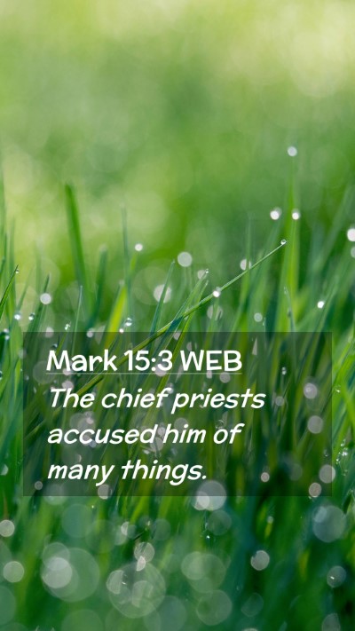 Picture 02 - Mark 15:3 WEB Mobile Phone Wallpaper - The chief priests accused him of many - Mobile Bible Verse Wallpaper