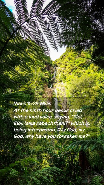 Picture 02 - Mark 15:34 WEB Mobile Phone Wallpaper - At the ninth hour Jesus cried with a loud voice, - Mobile Bible Verse Wallpaper