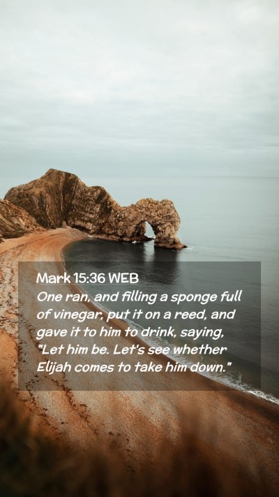 Picture 02 - Mark 15:36 WEB Mobile Phone Wallpaper - One ran, and filling a sponge full of vinegar, - Mobile Bible Verse Wallpaper