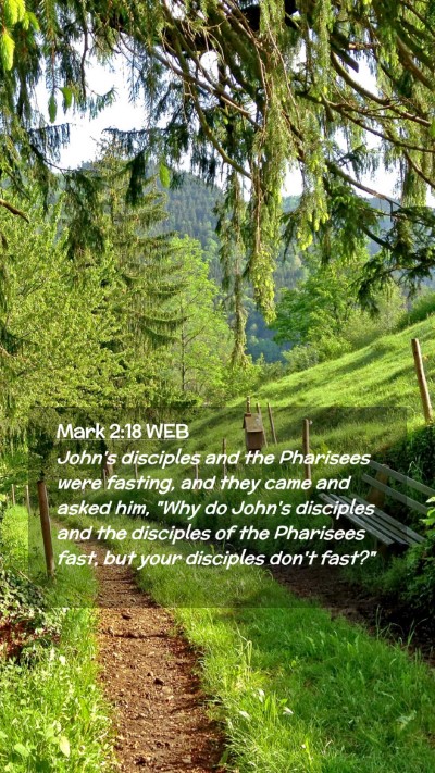 Picture 02 - Mark 2:18 WEB Mobile Phone Wallpaper - John's disciples and the Pharisees were fasting, - Mobile Bible Verse Wallpaper