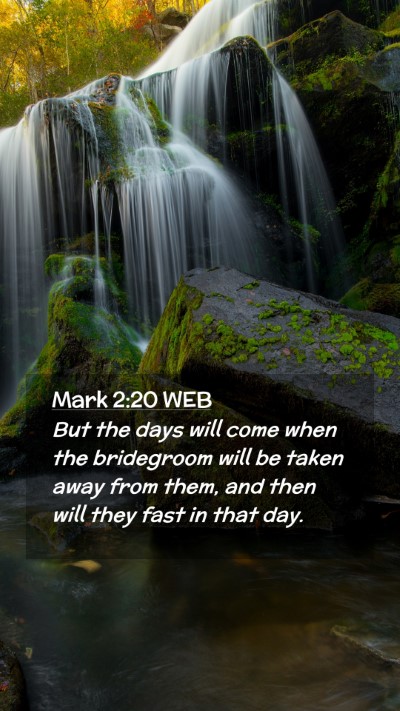 Picture 02 - Mark 2:20 WEB Mobile Phone Wallpaper - But the days will come when the bridegroom will - Mobile Bible Verse Wallpaper