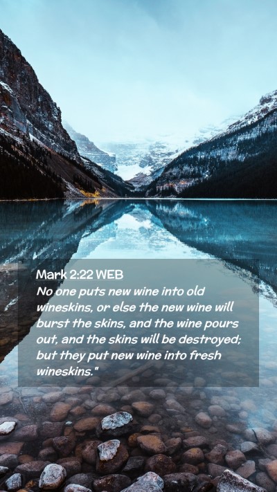 Picture 02 - Mark 2:22 WEB Mobile Phone Wallpaper - No one puts new wine into old wineskins, or else - Mobile Bible Verse Wallpaper