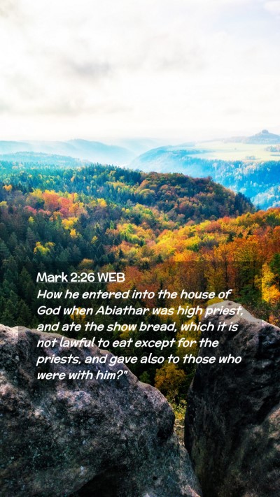 Picture 02 - Mark 2:26 WEB Mobile Phone Wallpaper - How he entered into the house of God when - Mobile Bible Verse Wallpaper