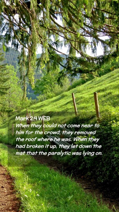 Picture 02 - Mark 2:4 WEB Mobile Phone Wallpaper - When they could not come near to him for the - Mobile Bible Verse Wallpaper