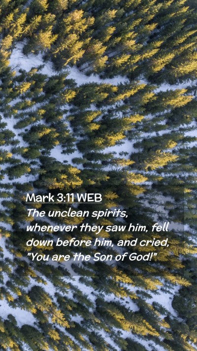 Picture 02 - Mark 3:11 WEB Mobile Phone Wallpaper - The unclean spirits, whenever they saw him, fell - Mobile Bible Verse Wallpaper