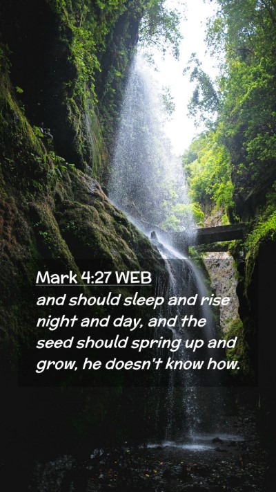 Picture 02 - Mark 4:27 WEB Mobile Phone Wallpaper - and should sleep and rise night and day, and the - Mobile Bible Verse Wallpaper