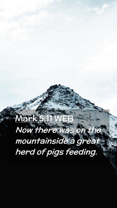 Picture 02 - Mark 5:11 WEB Mobile Phone Wallpaper - Now there was on the mountainside a great herd of - Mobile Bible Verse Wallpaper