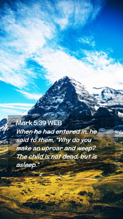 Picture 02 - Mark 5:39 WEB Mobile Phone Wallpaper - When he had entered in, he said to them, 