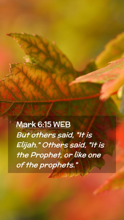 Picture 02 - Mark 6:15 WEB Mobile Phone Wallpaper - But others said, 