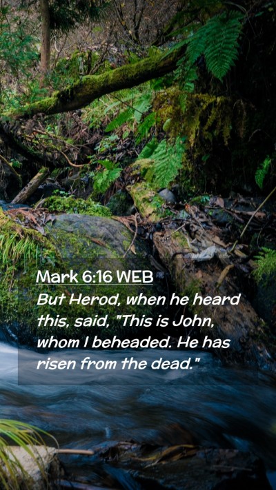 Picture 02 - Mark 6:16 WEB Mobile Phone Wallpaper - But Herod, when he heard this, said, 