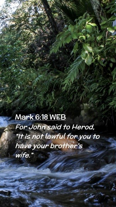 Picture 02 - Mark 6:18 WEB Mobile Phone Wallpaper - For John said to Herod, 