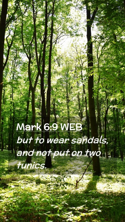 Picture 02 - Mark 6:9 WEB Mobile Phone Wallpaper - but to wear sandals, and not put on two - Mobile Bible Verse Wallpaper