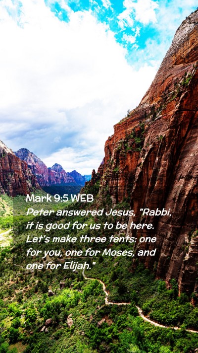 Picture 02 - Mark 9:5 WEB Mobile Phone Wallpaper - Peter answered Jesus, 