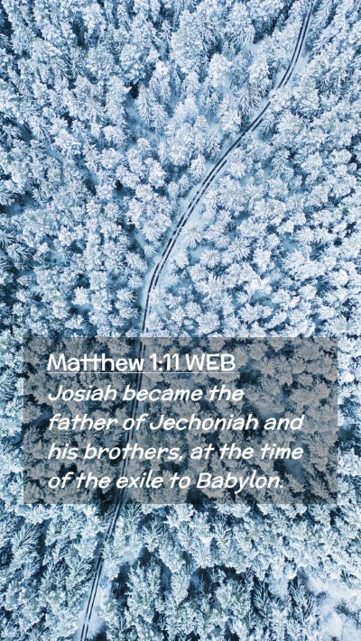 Picture 02 - Matthew 1:11 WEB Mobile Phone Wallpaper - Josiah became the father of Jechoniah and his - Mobile Bible Verse Wallpaper