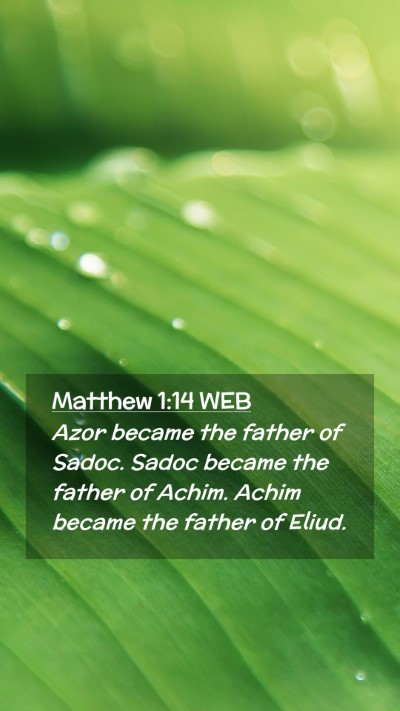 Picture 02 - Matthew 1:14 WEB Mobile Phone Wallpaper - Azor became the father of Sadoc. Sadoc became the - Mobile Bible Verse Wallpaper