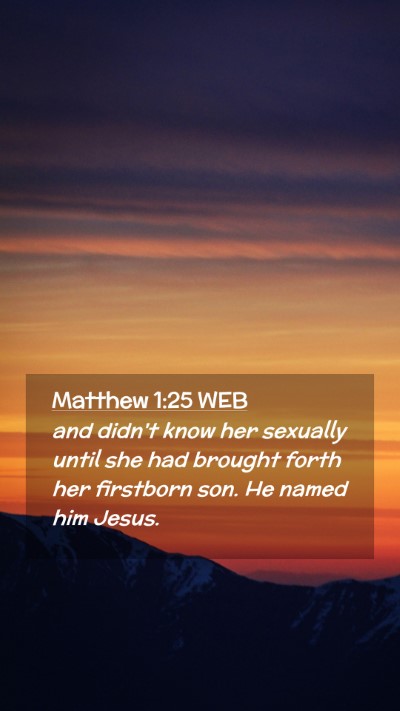 Picture 02 - Matthew 1:25 WEB Mobile Phone Wallpaper - and didn't know her sexually until she had - Mobile Bible Verse Wallpaper