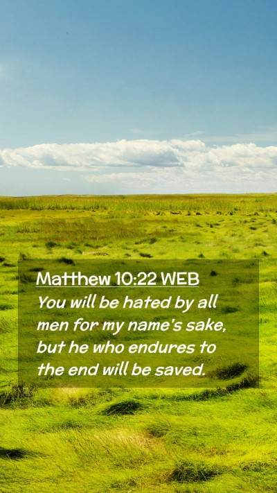 Picture 02 - Matthew 10:22 WEB Mobile Phone Wallpaper - You will be hated by all men for my name's sake, - Mobile Bible Verse Wallpaper