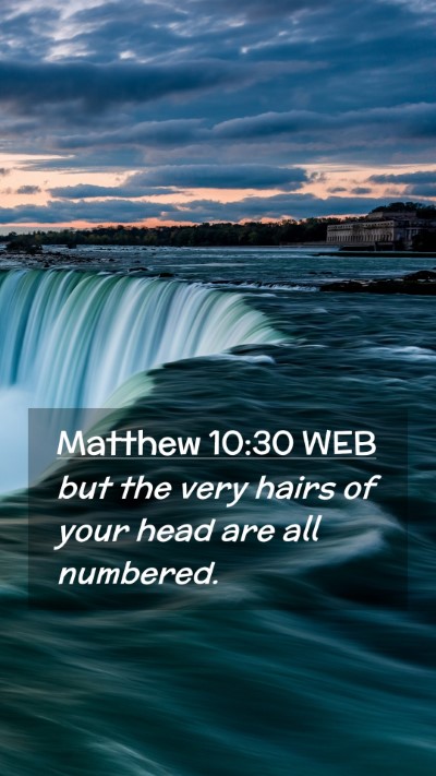 Picture 02 - Matthew 10:30 WEB Mobile Phone Wallpaper - but the very hairs of your head are all - Mobile Bible Verse Wallpaper