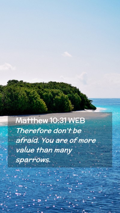 Picture 02 - Matthew 10:31 WEB Mobile Phone Wallpaper - Therefore don't be afraid. You are of more value - Mobile Bible Verse Wallpaper