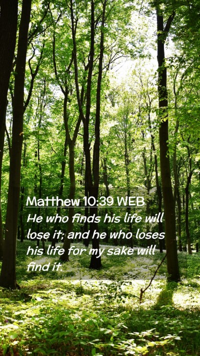 Picture 02 - Matthew 10:39 WEB Mobile Phone Wallpaper - He who finds his life will lose it; and he who - Mobile Bible Verse Wallpaper