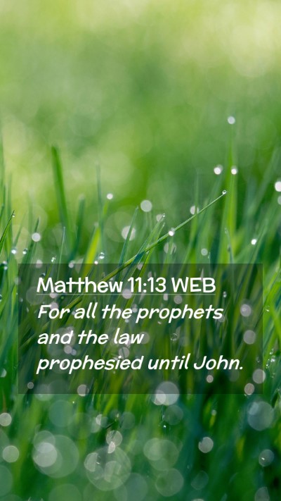 Picture 02 - Matthew 11:13 WEB Mobile Phone Wallpaper - For all the prophets and the law prophesied until - Mobile Bible Verse Wallpaper