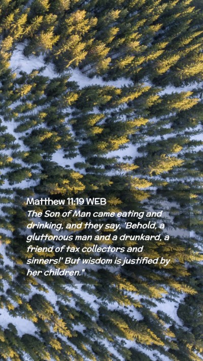 Picture 02 - Matthew 11:19 WEB Mobile Phone Wallpaper - The Son of Man came eating and drinking, and they - Mobile Bible Verse Wallpaper