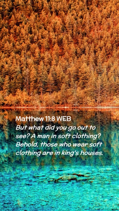 Picture 02 - Matthew 11:8 WEB Mobile Phone Wallpaper - But what did you go out to see? A man in soft - Mobile Bible Verse Wallpaper