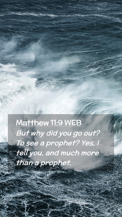 Picture 02 - Matthew 11:9 WEB Mobile Phone Wallpaper - But why did you go out? To see a prophet? Yes, I - Mobile Bible Verse Wallpaper