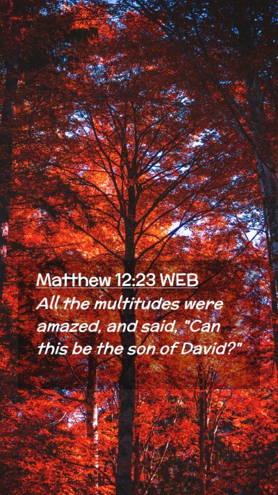 Picture 02 - Matthew 12:23 WEB Mobile Phone Wallpaper - All the multitudes were amazed, and said, 