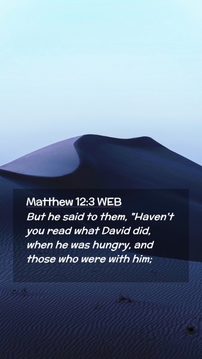 Picture 02 - Matthew 12:3 WEB Mobile Phone Wallpaper - But he said to them, 