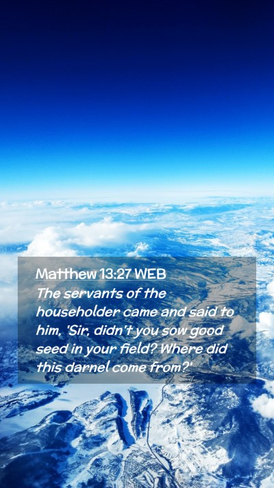 Picture 02 - Matthew 13:27 WEB Mobile Phone Wallpaper - The servants of the householder came and said to - Mobile Bible Verse Wallpaper