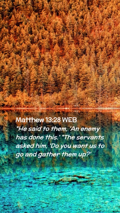 Picture 02 - Matthew 13:28 WEB Mobile Phone Wallpaper - 