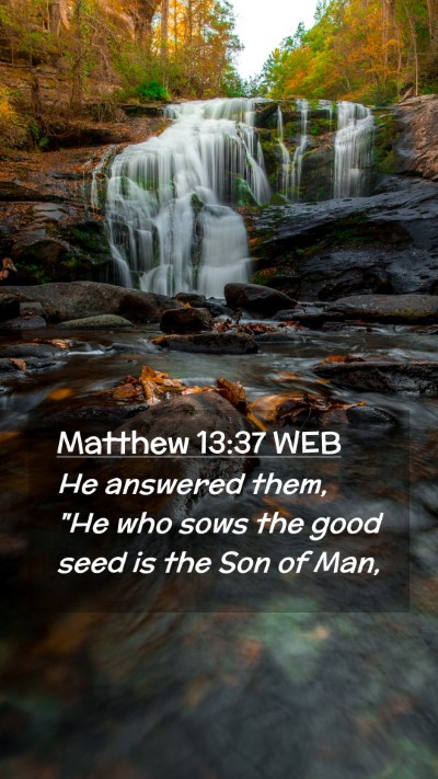Picture 02 - Matthew 13:37 WEB Mobile Phone Wallpaper - He answered them, 