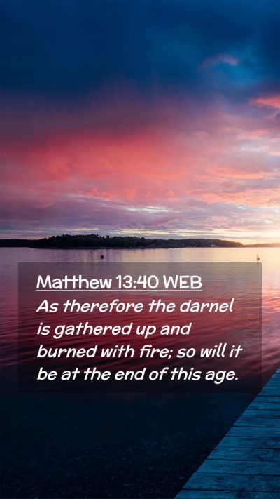 Picture 02 - Matthew 13:40 WEB Mobile Phone Wallpaper - As therefore the darnel is gathered up and burned - Mobile Bible Verse Wallpaper