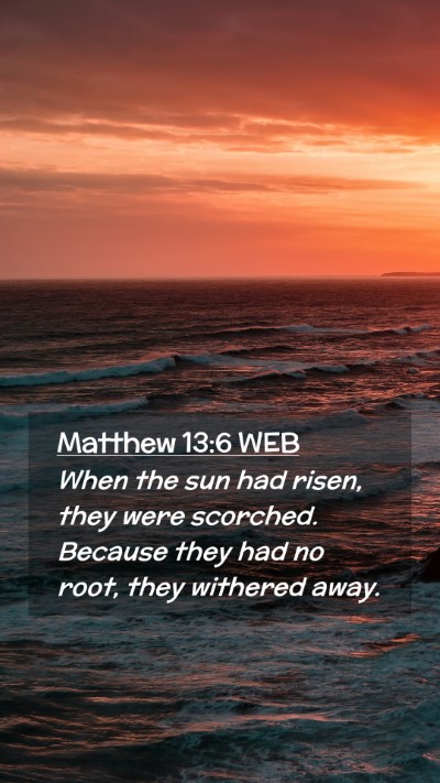 Picture 02 - Matthew 13:6 WEB Mobile Phone Wallpaper - When the sun had risen, they were scorched. - Mobile Bible Verse Wallpaper