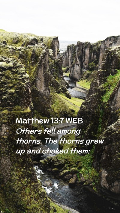 Picture 02 - Matthew 13:7 WEB Mobile Phone Wallpaper - Others fell among thorns. The thorns grew up and - Mobile Bible Verse Wallpaper