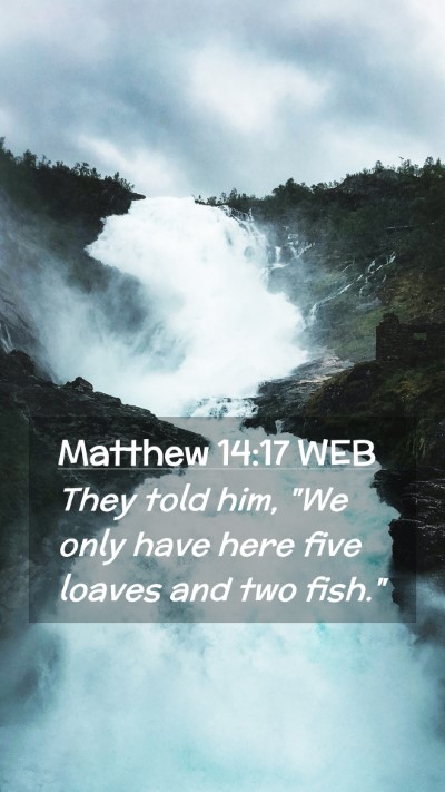 Picture 02 - Matthew 14:17 WEB Mobile Phone Wallpaper - They told him, 
