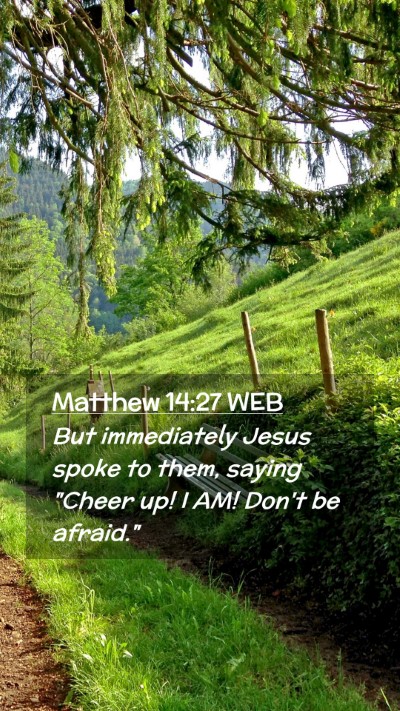 Picture 02 - Matthew 14:27 WEB Mobile Phone Wallpaper - But immediately Jesus spoke to them, saying - Mobile Bible Verse Wallpaper